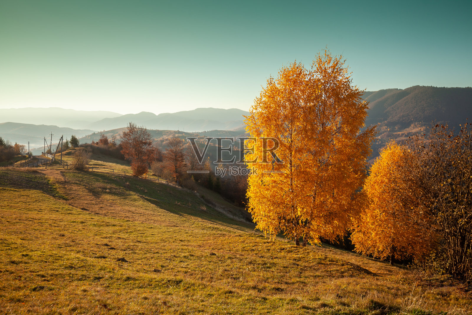 初秋清晨的山景。喀尔巴阡山脉。乌克兰照片摄影图片