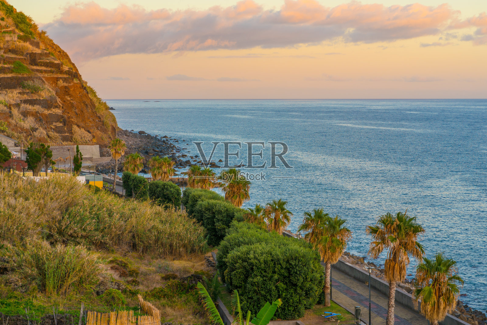 马德拉群岛海岸线照片摄影图片