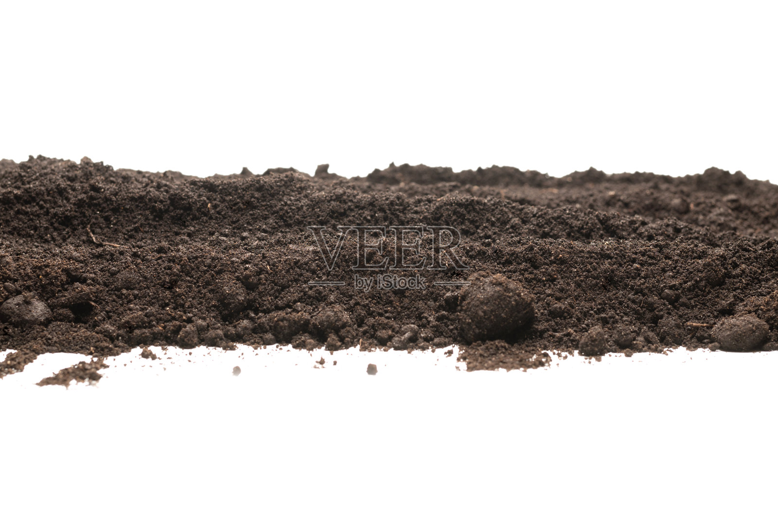 黑色的土地，植物被隔离在白色的背景上。照片摄影图片