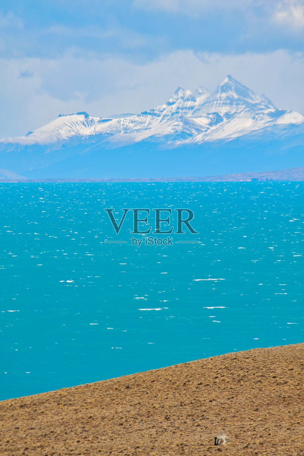 阿根廷埃尔卡拉菲特外的巴塔哥尼亚荒野照片摄影图片