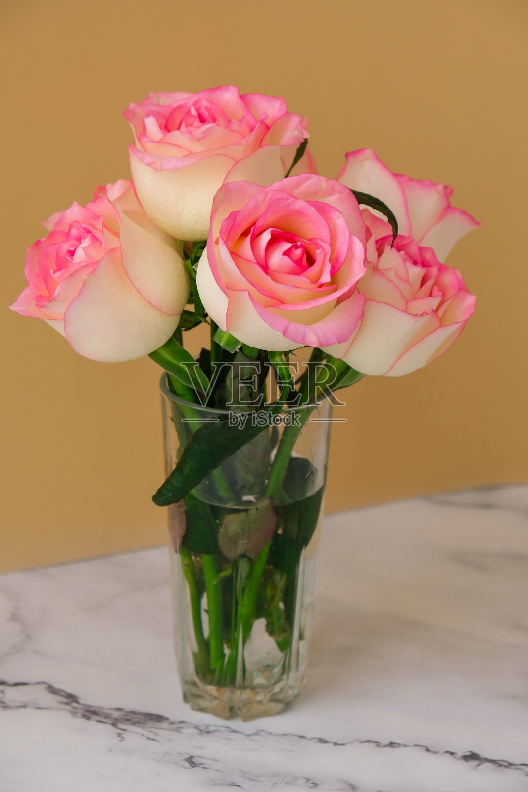 精致的粉红色玫瑰在米色的背景。最小的组合。花束的抽象艺术概念。浪漫的粉彩组合玫瑰花。现代美学照片摄影图片