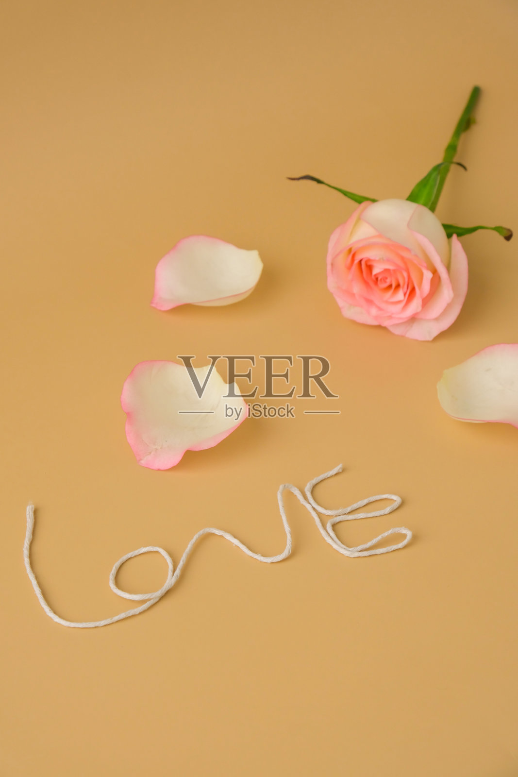 精致的粉红色玫瑰在米色背景上。用绳子编织的爱情字。最小的时尚组合。浪漫的淡粉色玫瑰花。中性地球音调。情人节贺卡垂直照片摄影图片