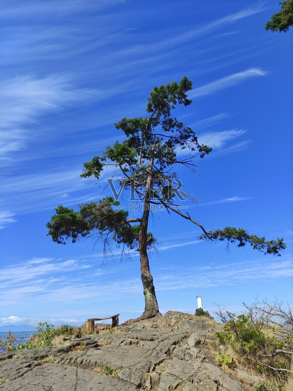 伯恩岛照片摄影图片