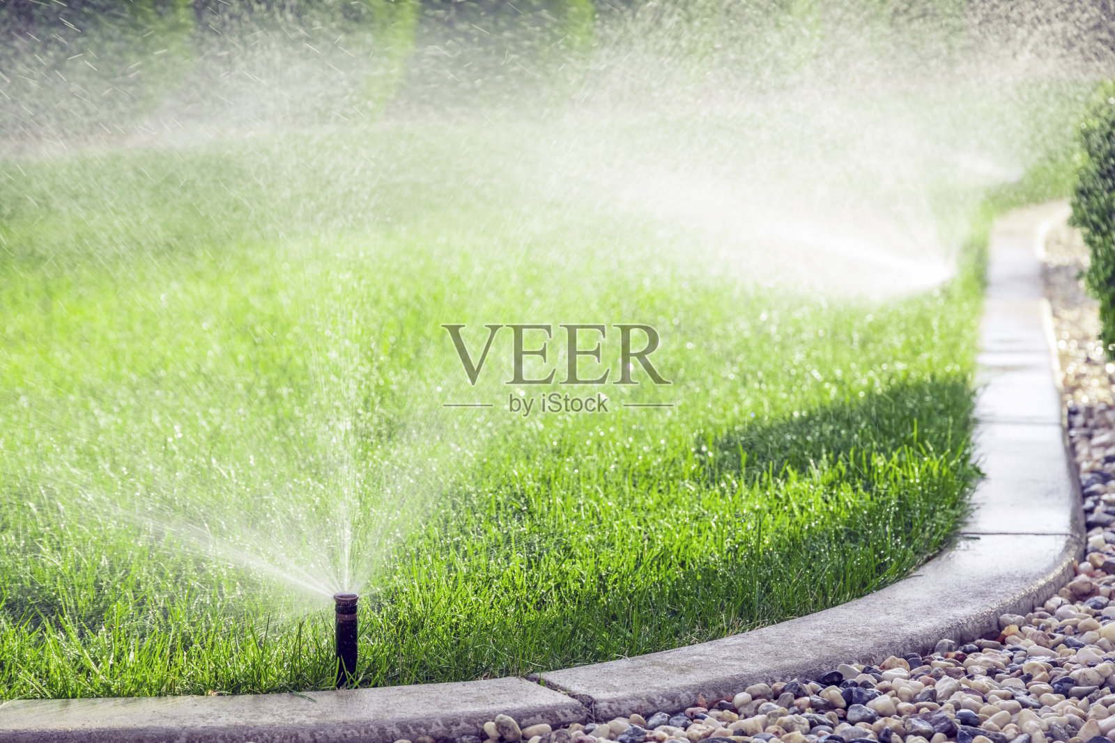 洒水器浇草照片摄影图片