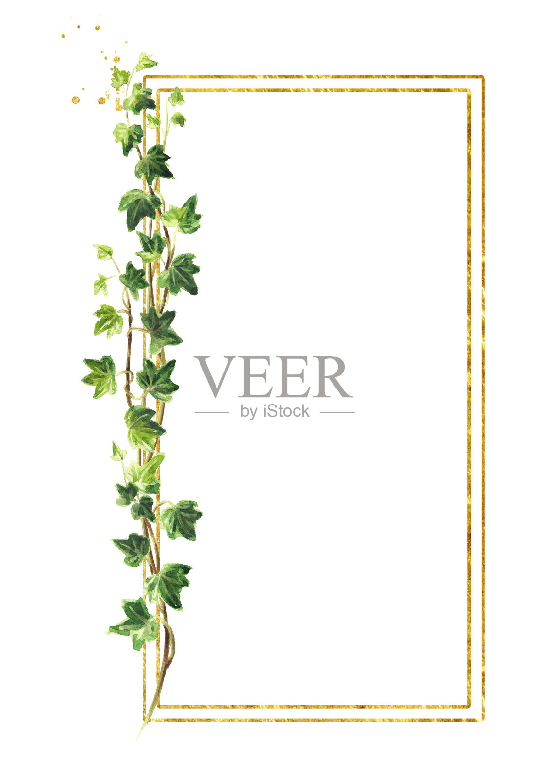常春藤树枝与绿叶框架，手绘水彩插图孤立在白色背景插画图片素材