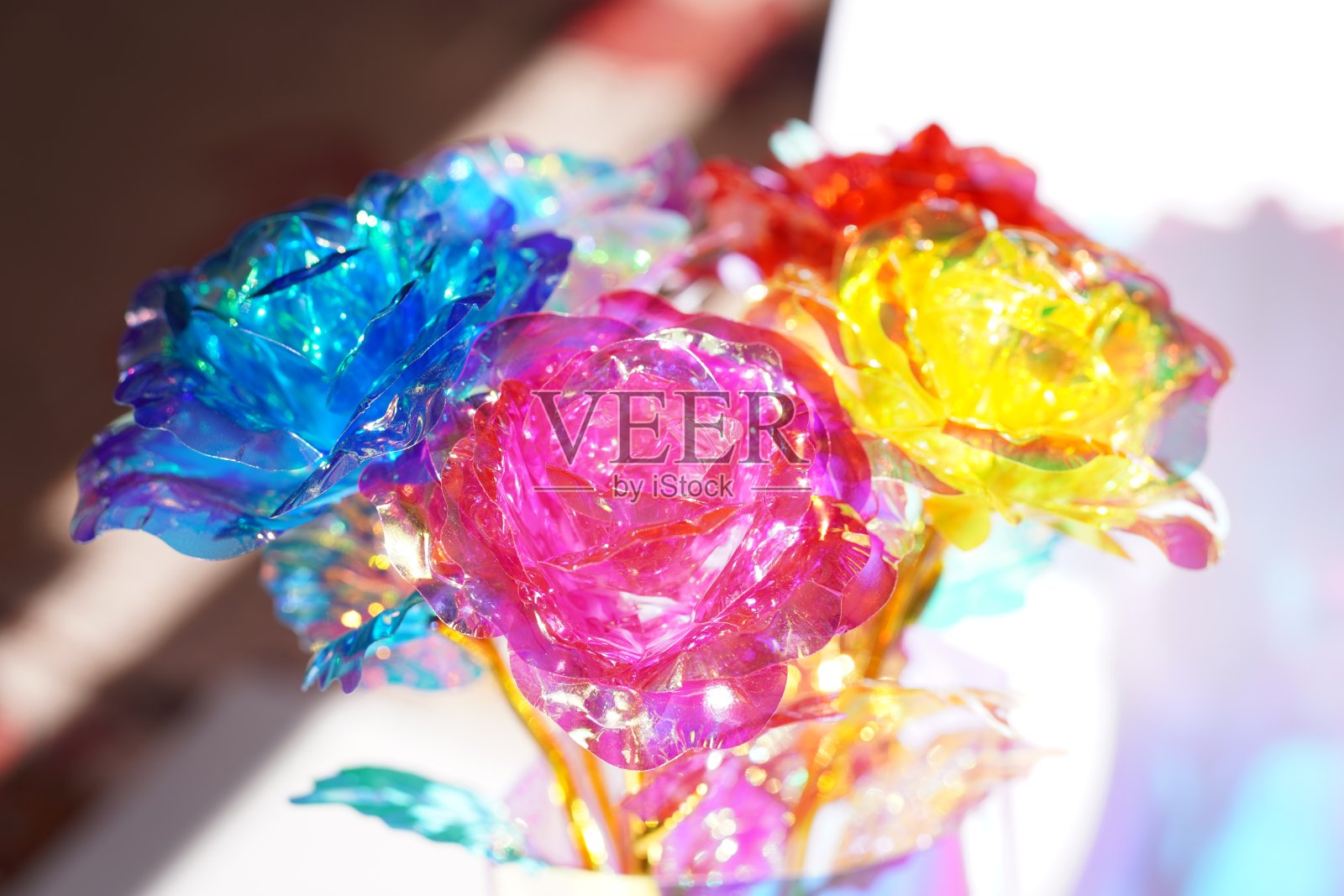 一束闪耀着美丽光芒的极光玫瑰照片摄影图片