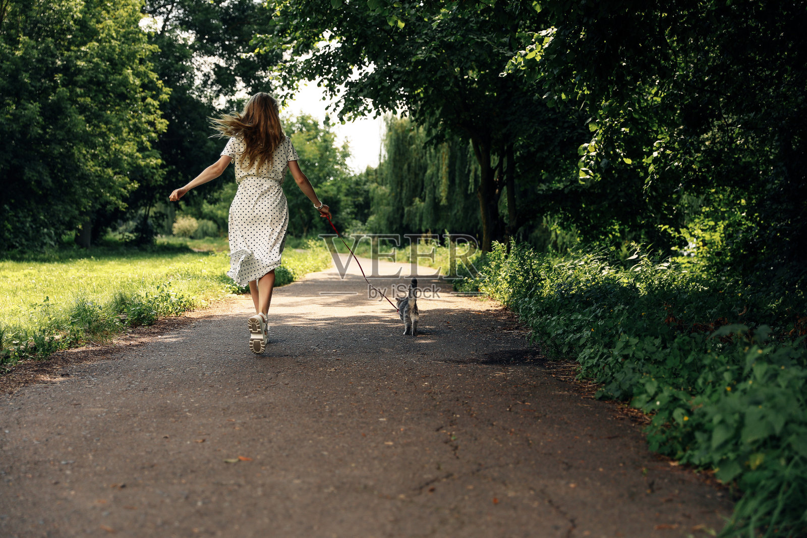一个女人带着一只小猫在公园里散步照片摄影图片