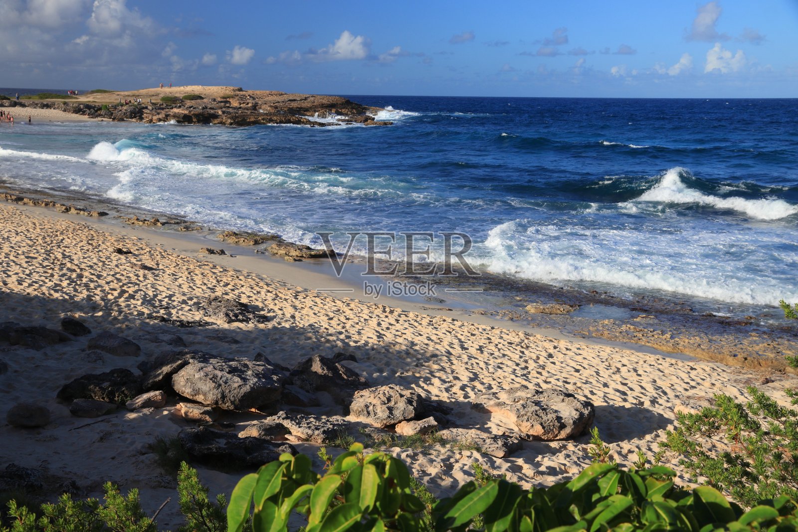 瓜德罗普海滩安特伍德照片摄影图片