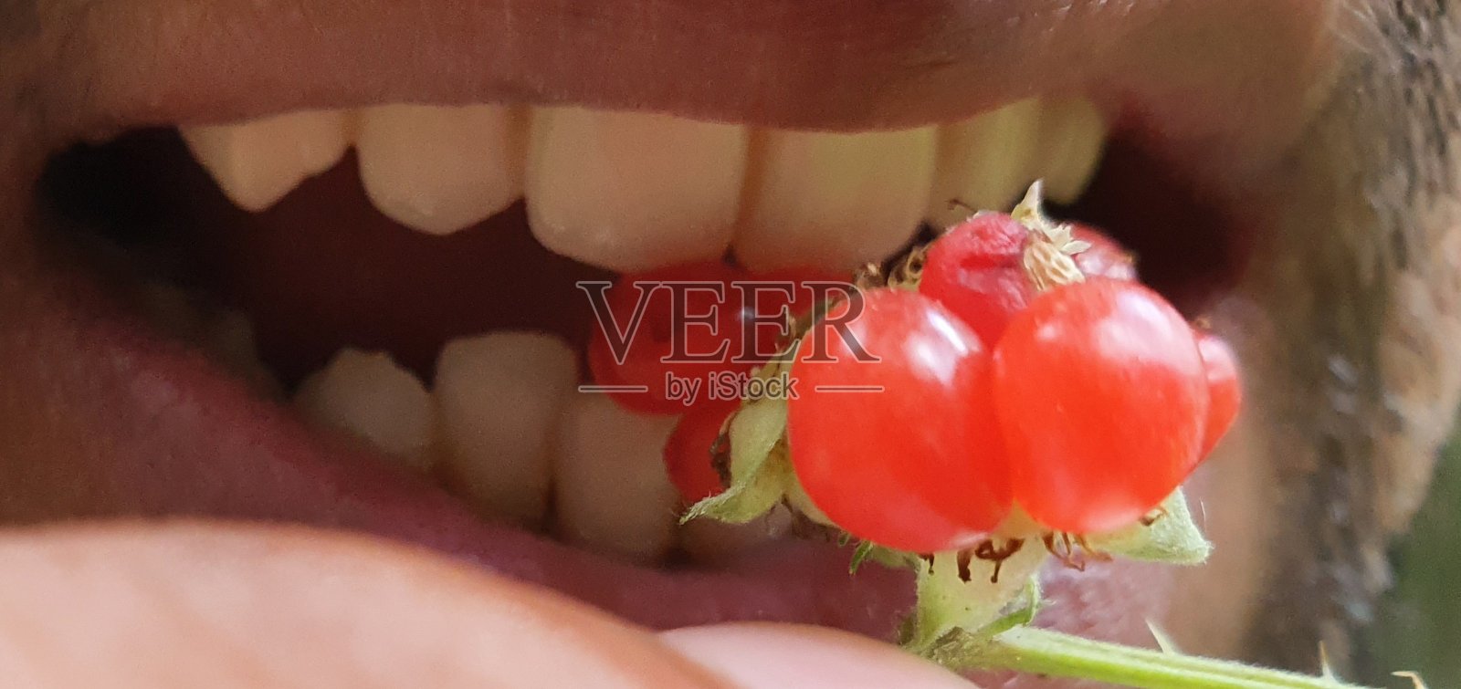 美丽的克什米尔山谷，尼勒姆山谷阿扎德克什米尔夏季风景和观点照片摄影图片