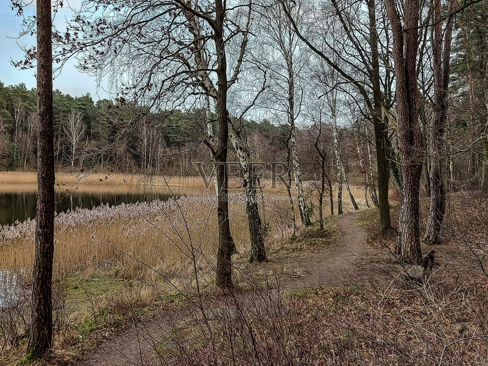 大自然——田园诗般的湖泊照片摄影图片