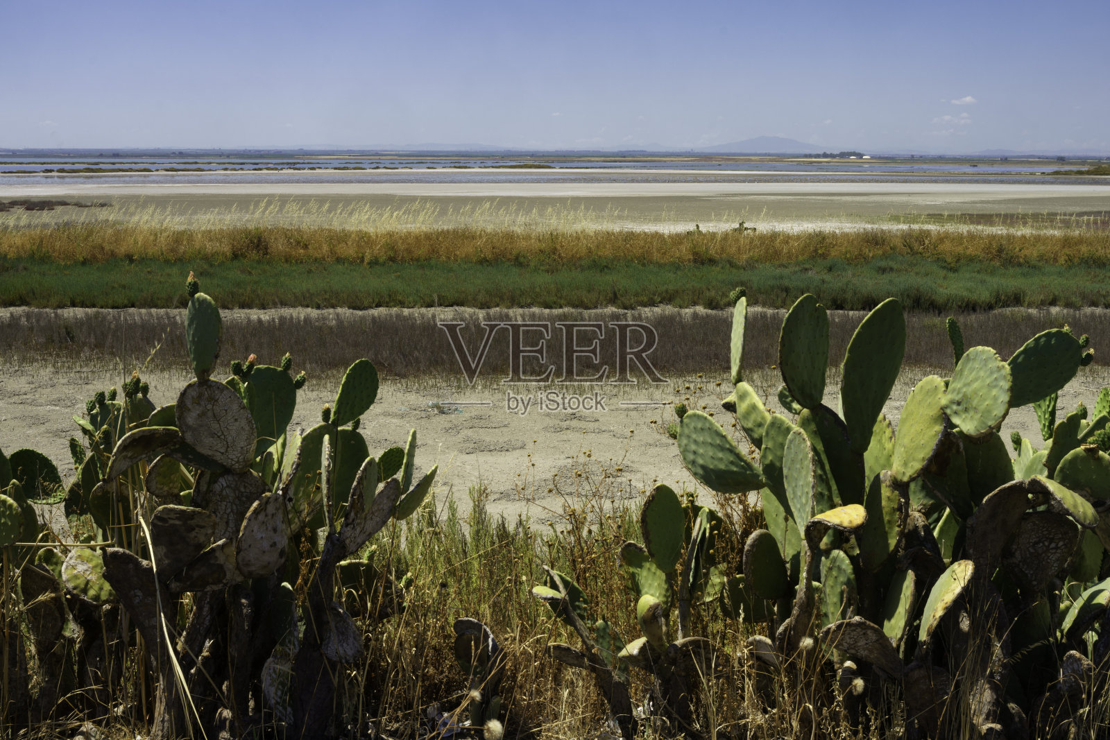 意大利阿普利亚，玛格丽塔·迪萨瓦亚盐滩照片摄影图片