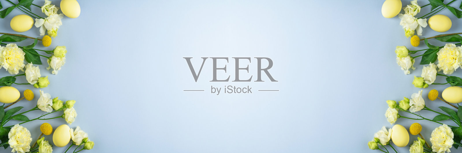 黄色的鸡蛋和白色的花浅蓝色的背景。复活节彩旗。春天节日的概念。桔梗、菊花和鸡蛋平躺。复制空间，俯视图照片摄影图片