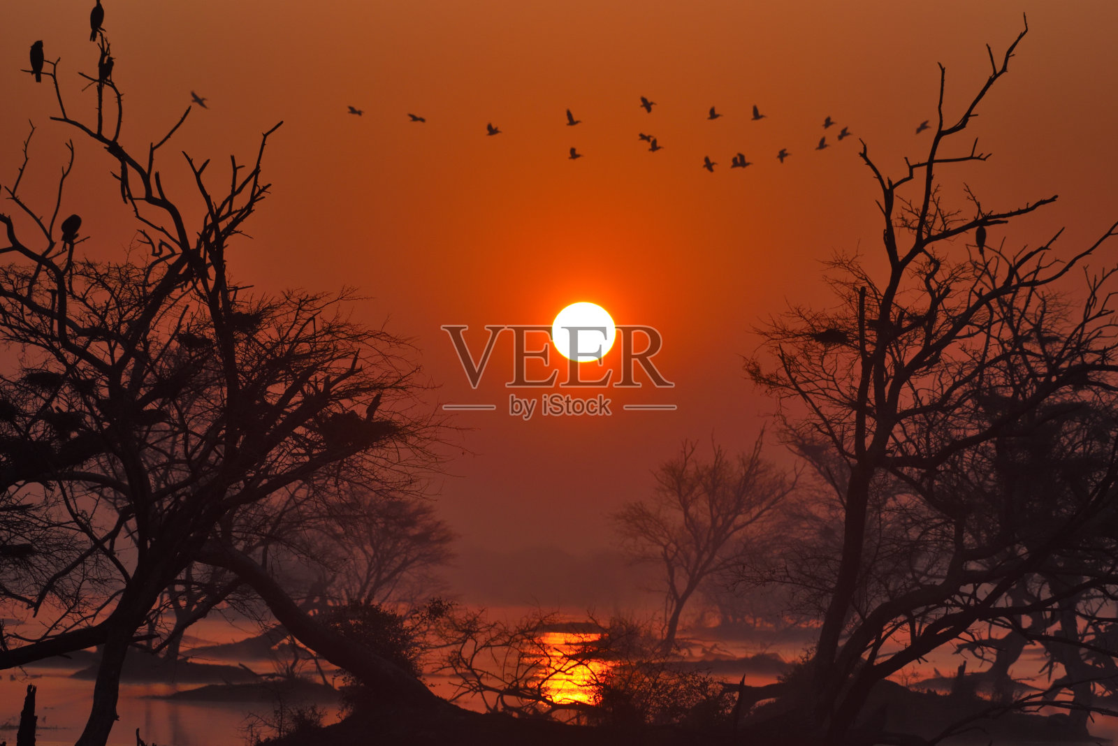 日出照片摄影图片