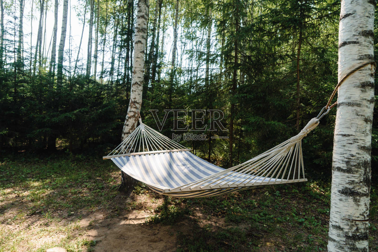 森林里的吊床照片摄影图片