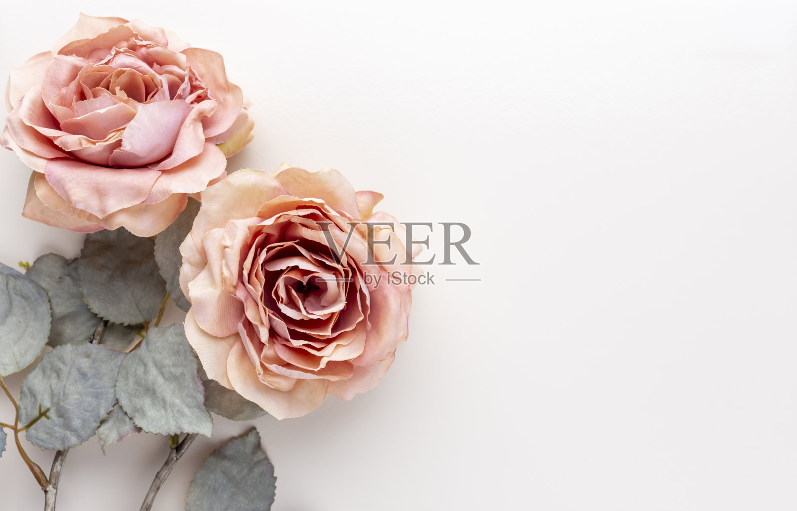 花组成。一束粉红色的玫瑰，色彩柔和。Flatlay。照片摄影图片