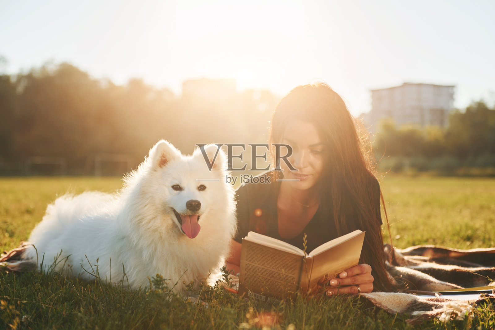 与书。一个女人和她的狗在阳光明媚的白天在操场上玩得很开心照片摄影图片