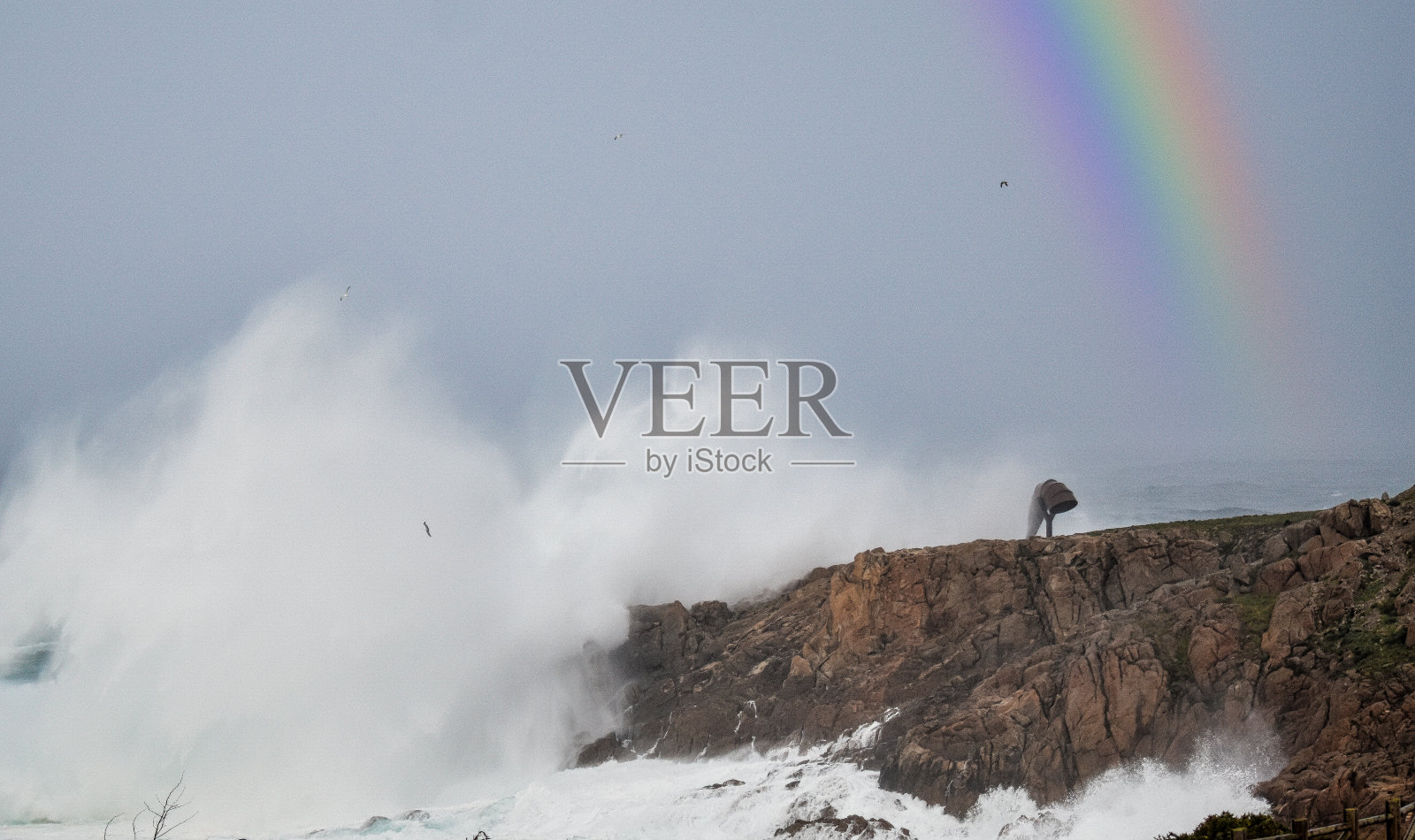 Herminia点照片摄影图片