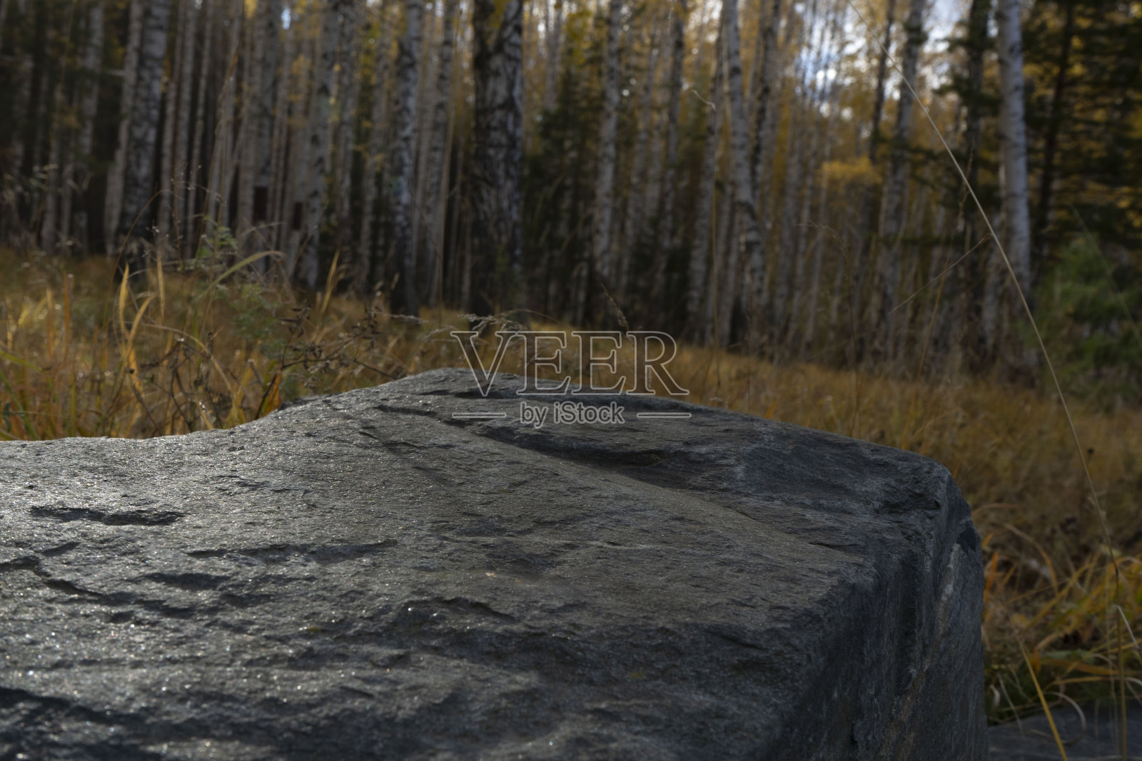 基座由天然石材制成。在秋天森林的背景下照片摄影图片