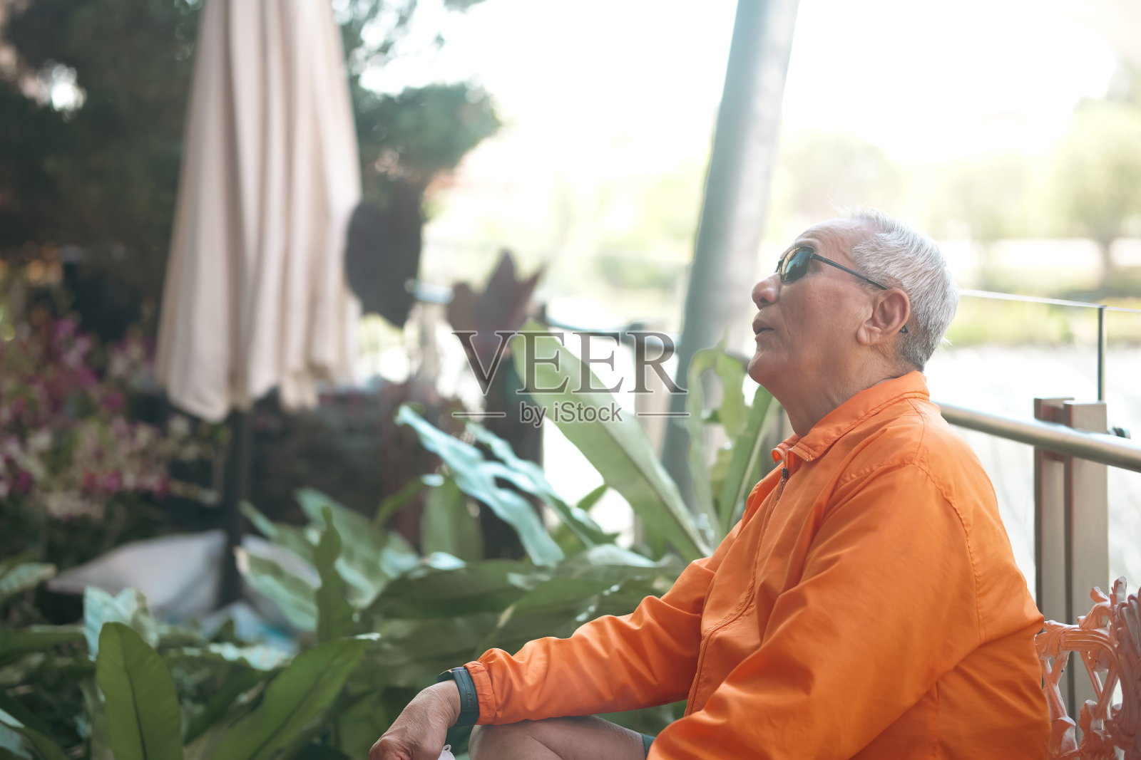 老老头在阳台上休息。照片摄影图片