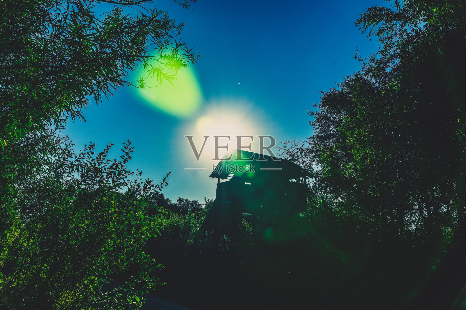 森林里的一个小木屋。照片摄影图片