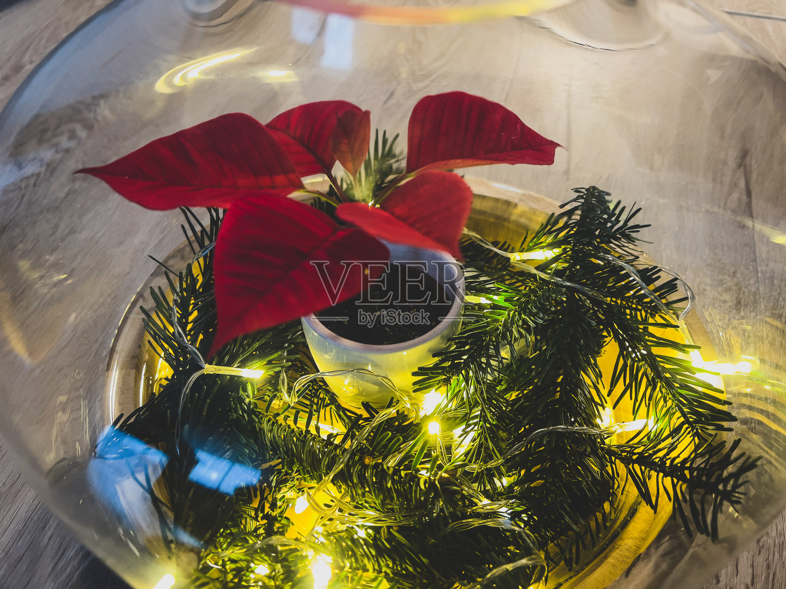 美丽的圣诞装饰，红色的植物，淡绿色的树枝在一个玻璃。照片摄影图片