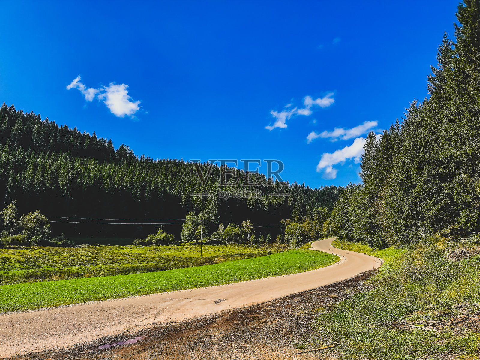 一条穿过黑森林的路。照片摄影图片