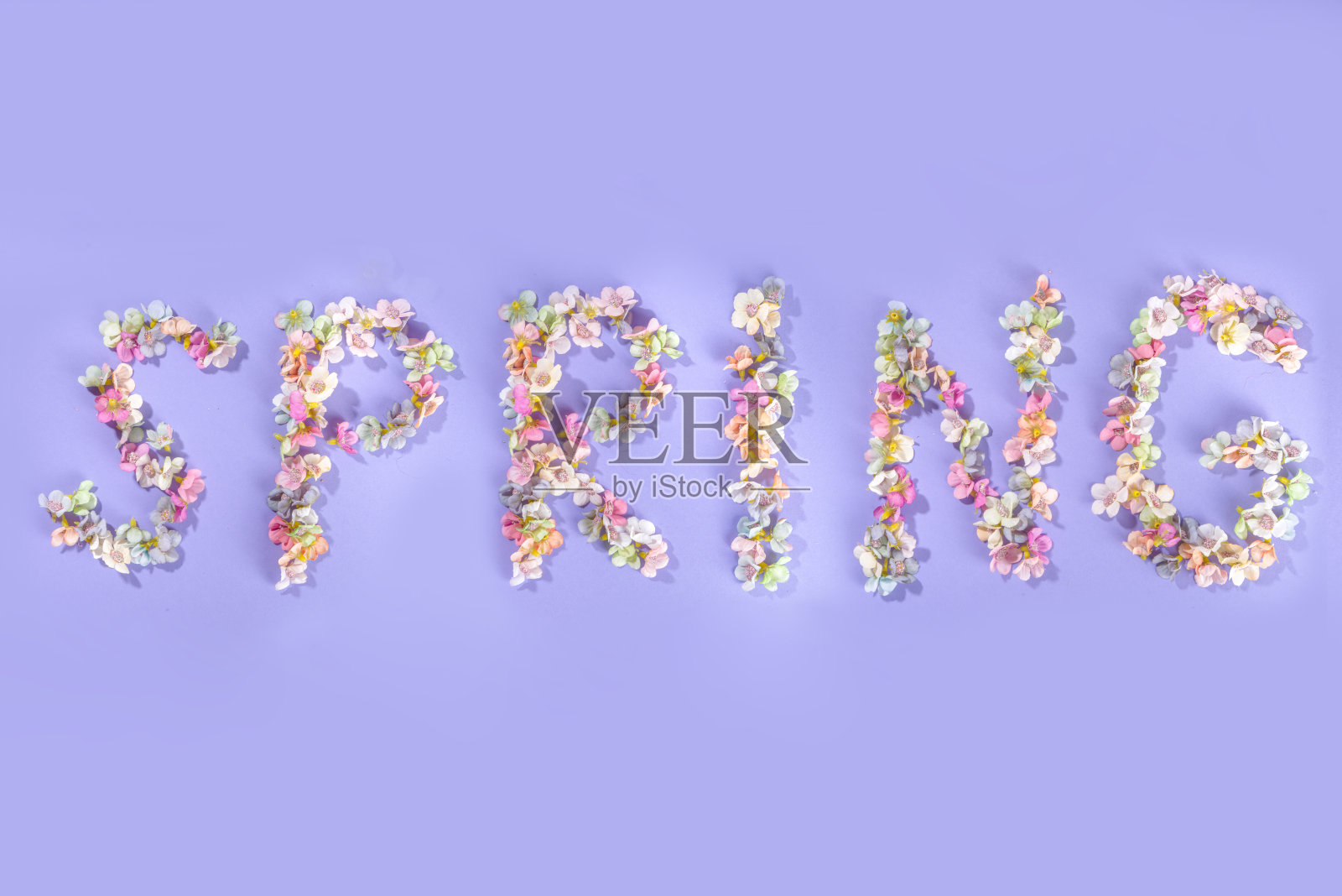 由花朵制成的春天字照片摄影图片