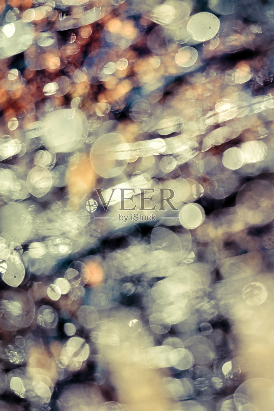 摘要阳光对森林树叶背景照片摄影图片