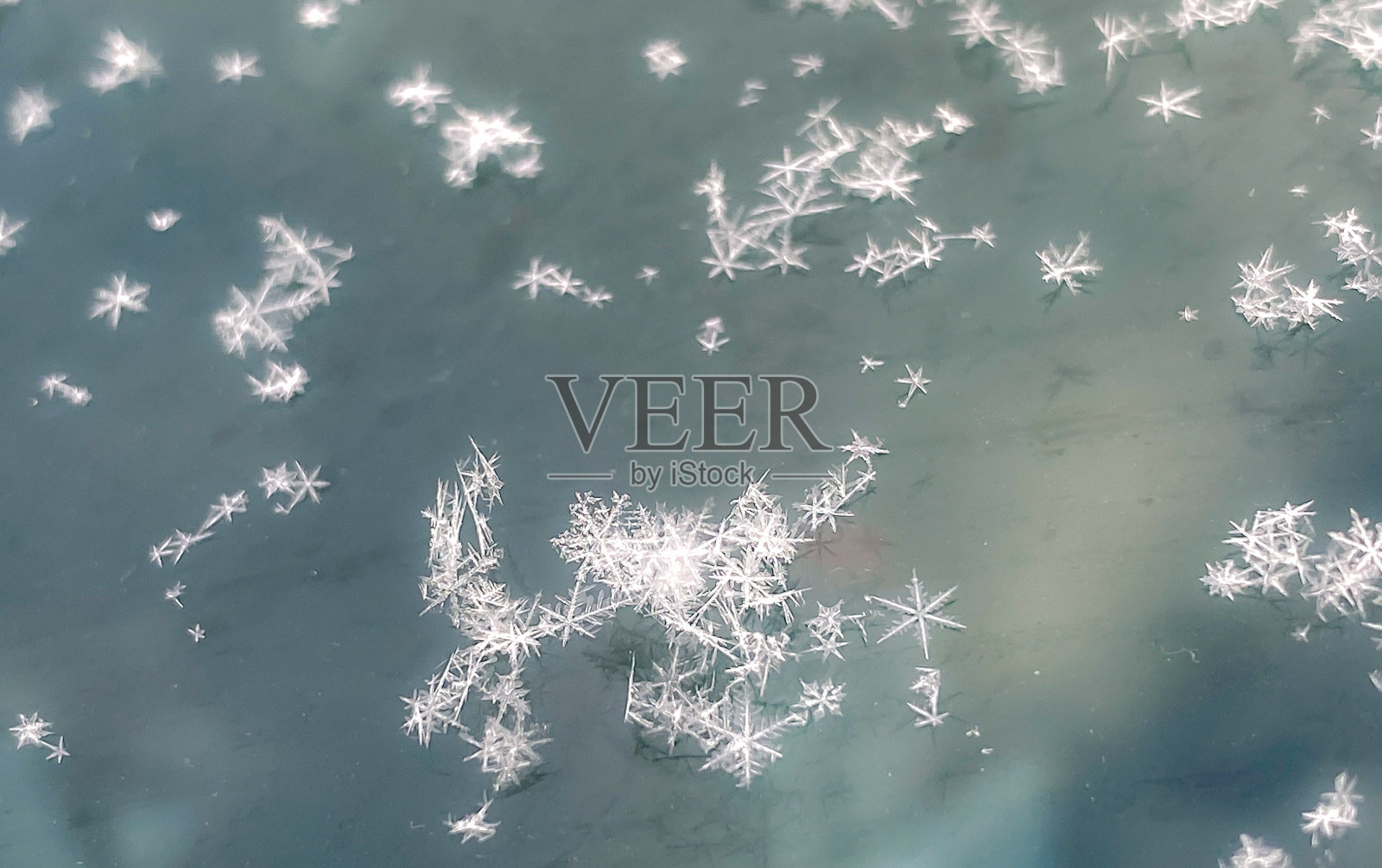 阿拉斯加的雪花照片摄影图片