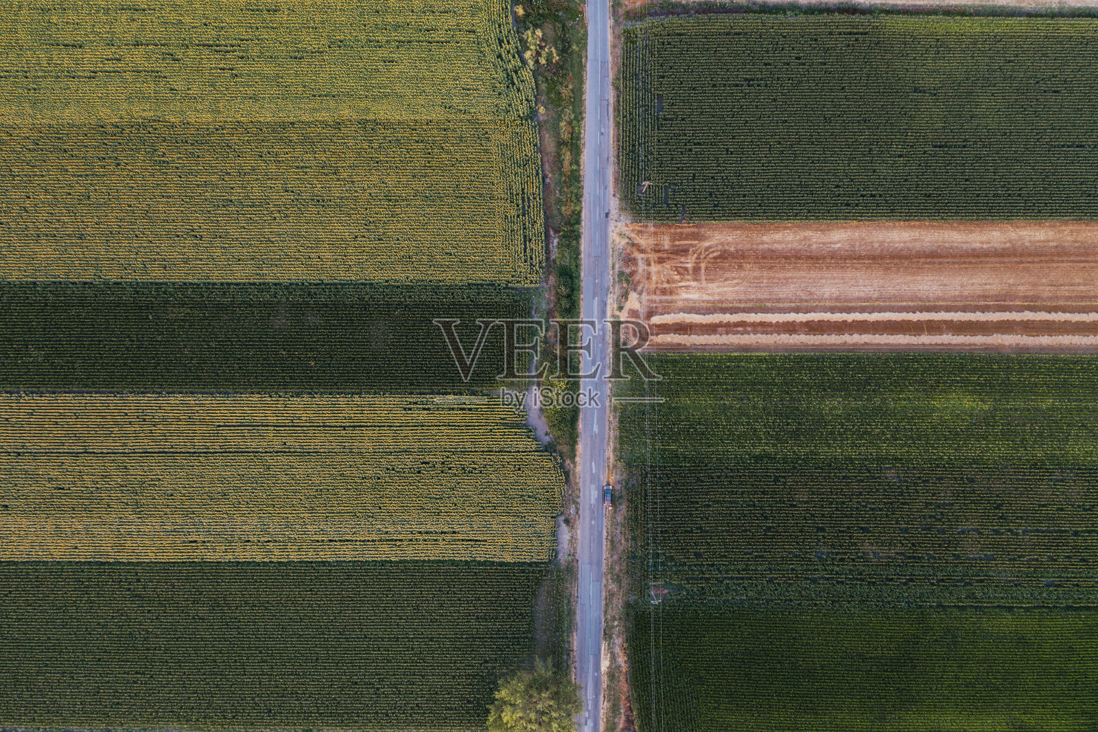 农业领域的无人机视图照片摄影图片