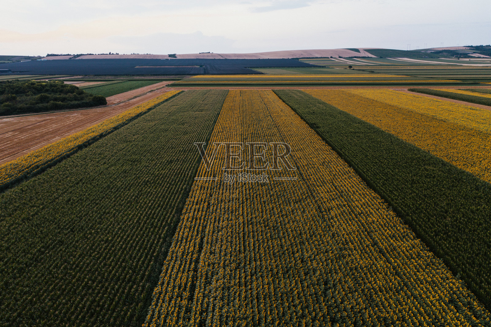 农业领域的无人机视图照片摄影图片