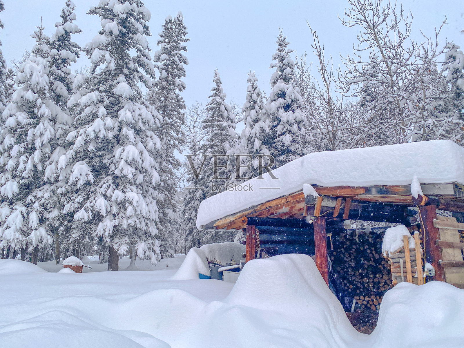 练习乐器在冬天照片摄影图片
