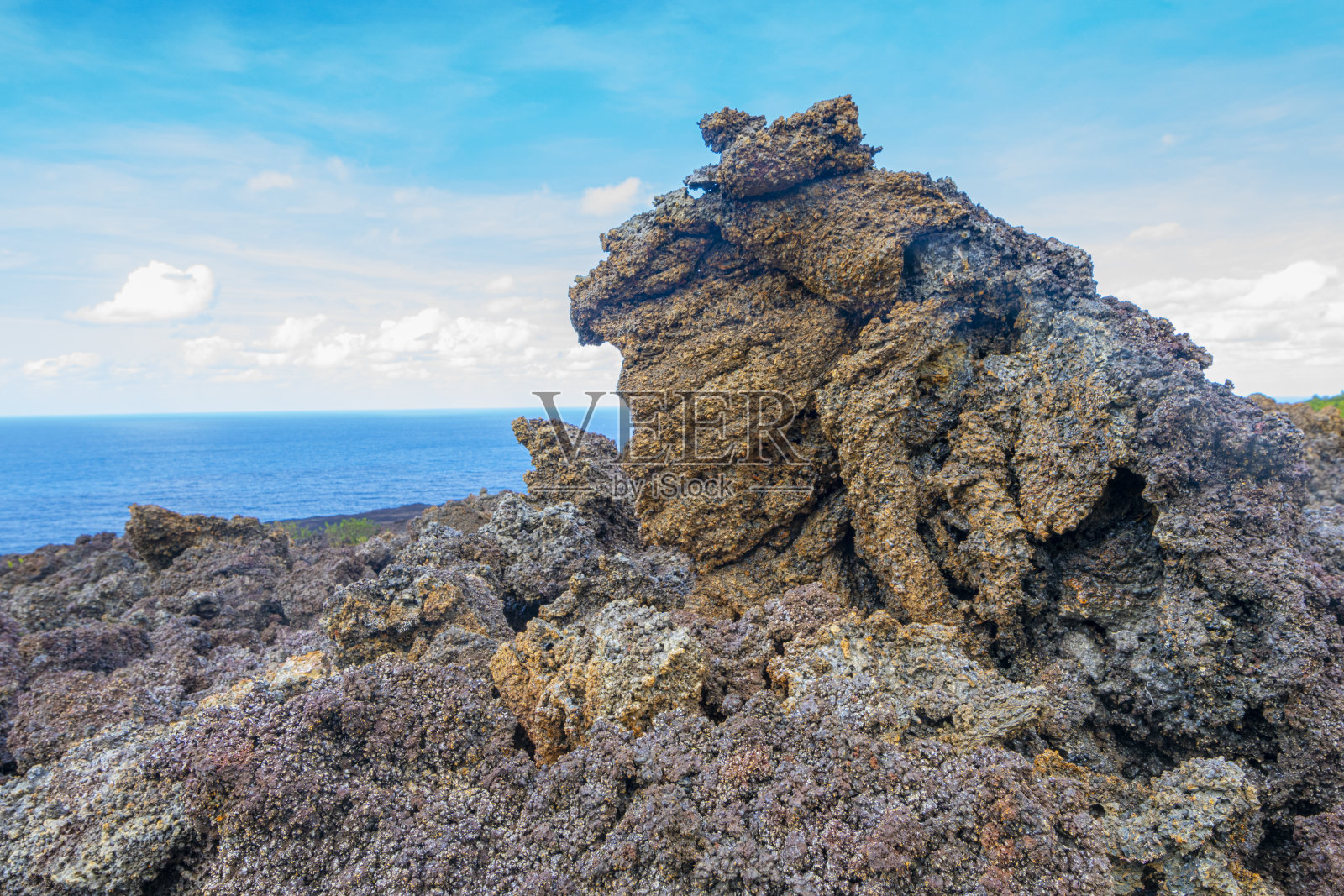 留尼汪熔岩流中的地衣照片摄影图片