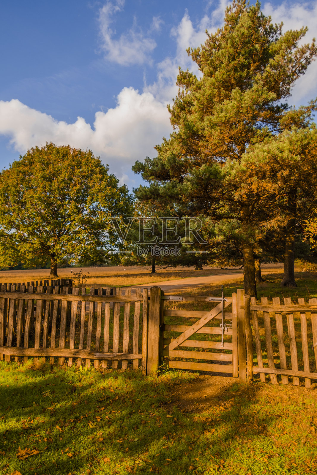 秋日散步步道秋日户外自然景观环境优美照片摄影图片