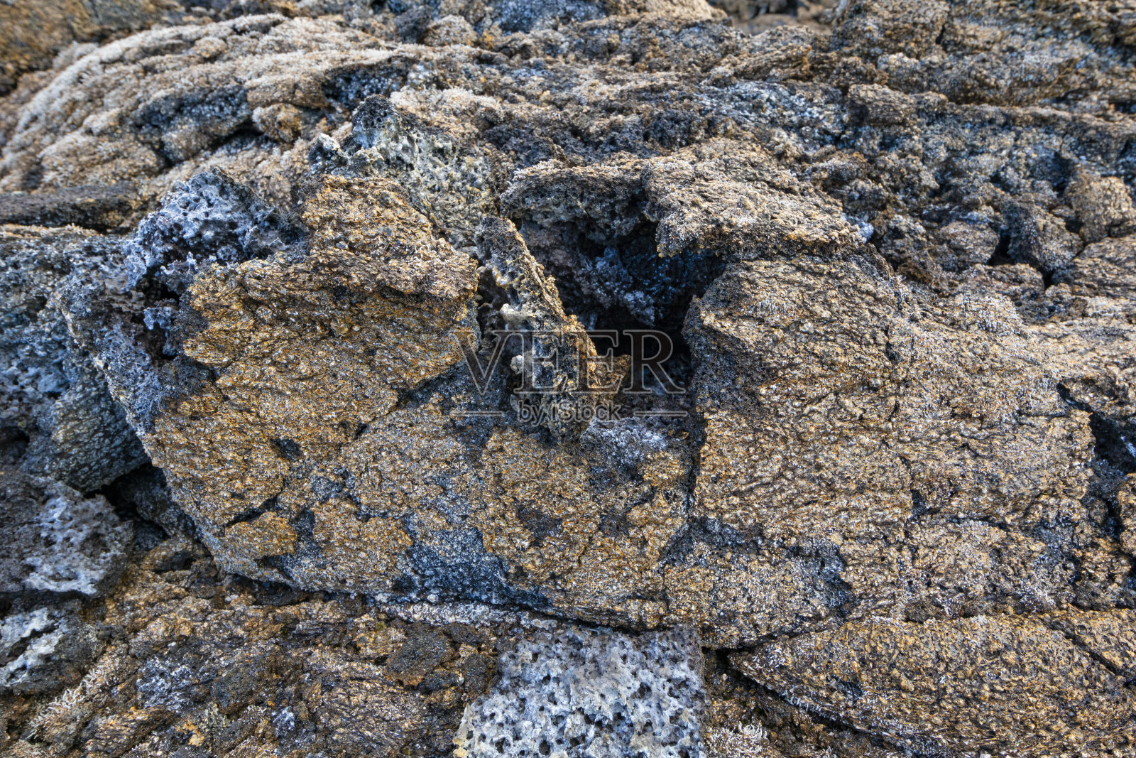 留尼汪熔岩流中的地衣照片摄影图片