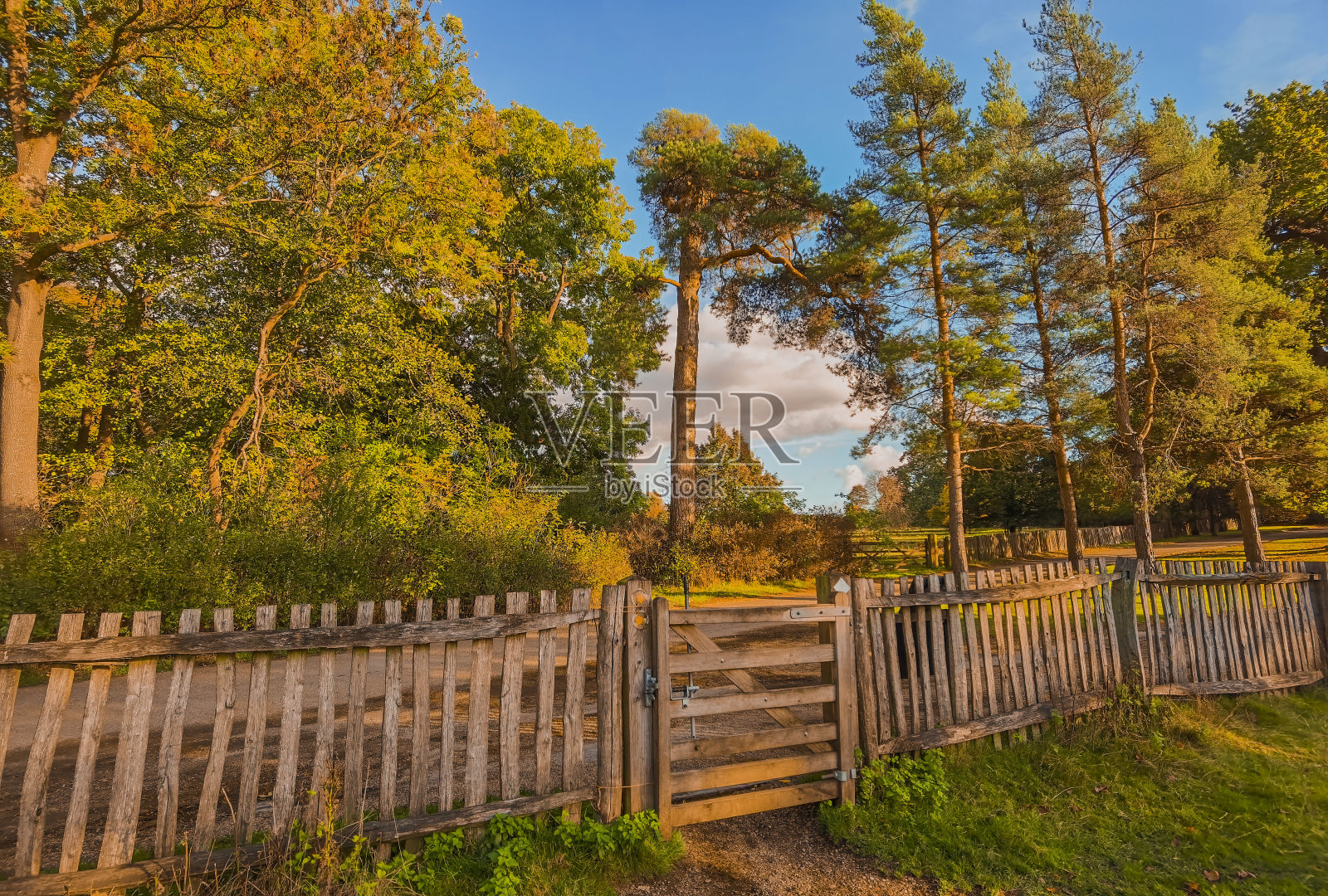 秋日散步步道秋日户外自然景观环境优美照片摄影图片