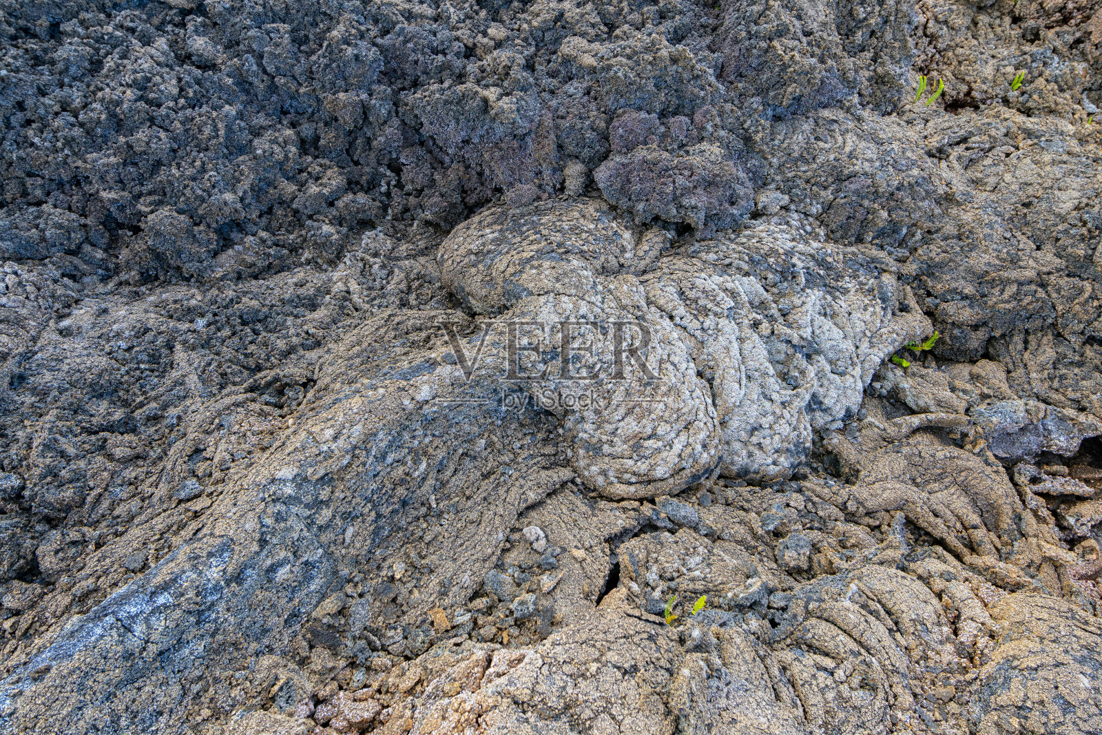 留尼汪熔岩流中的地衣照片摄影图片