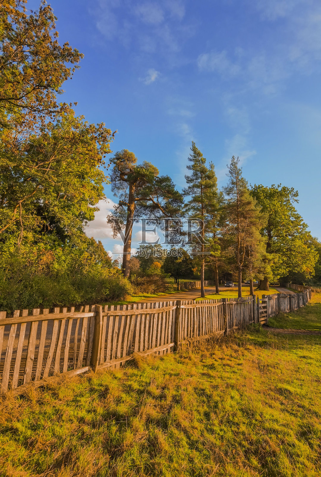 秋日散步步道秋日户外自然景观环境优美照片摄影图片