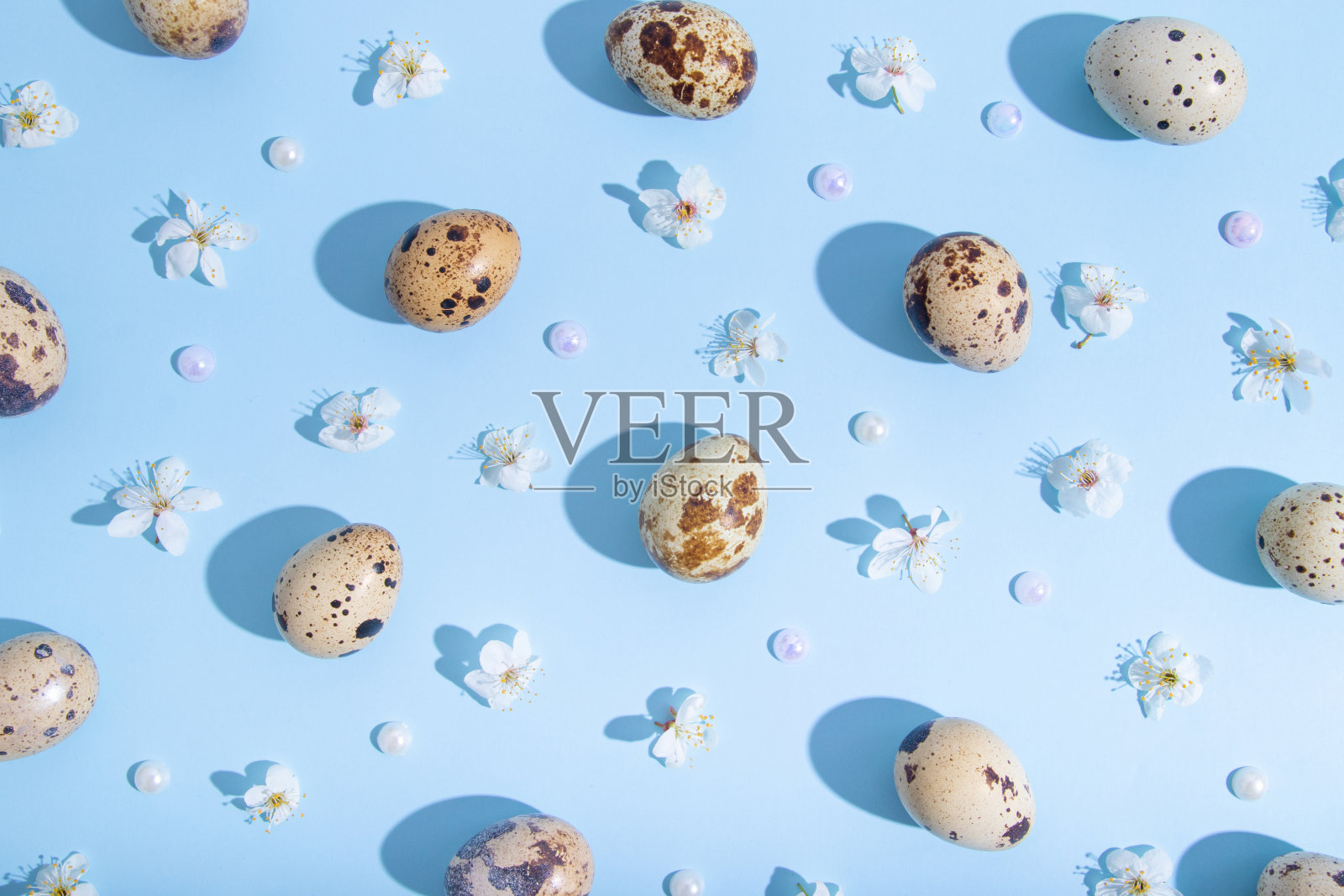简约的平面，与复活节彩蛋和樱花图案在蓝色背景的俯视图组成。时髦的最小的风格照片摄影图片