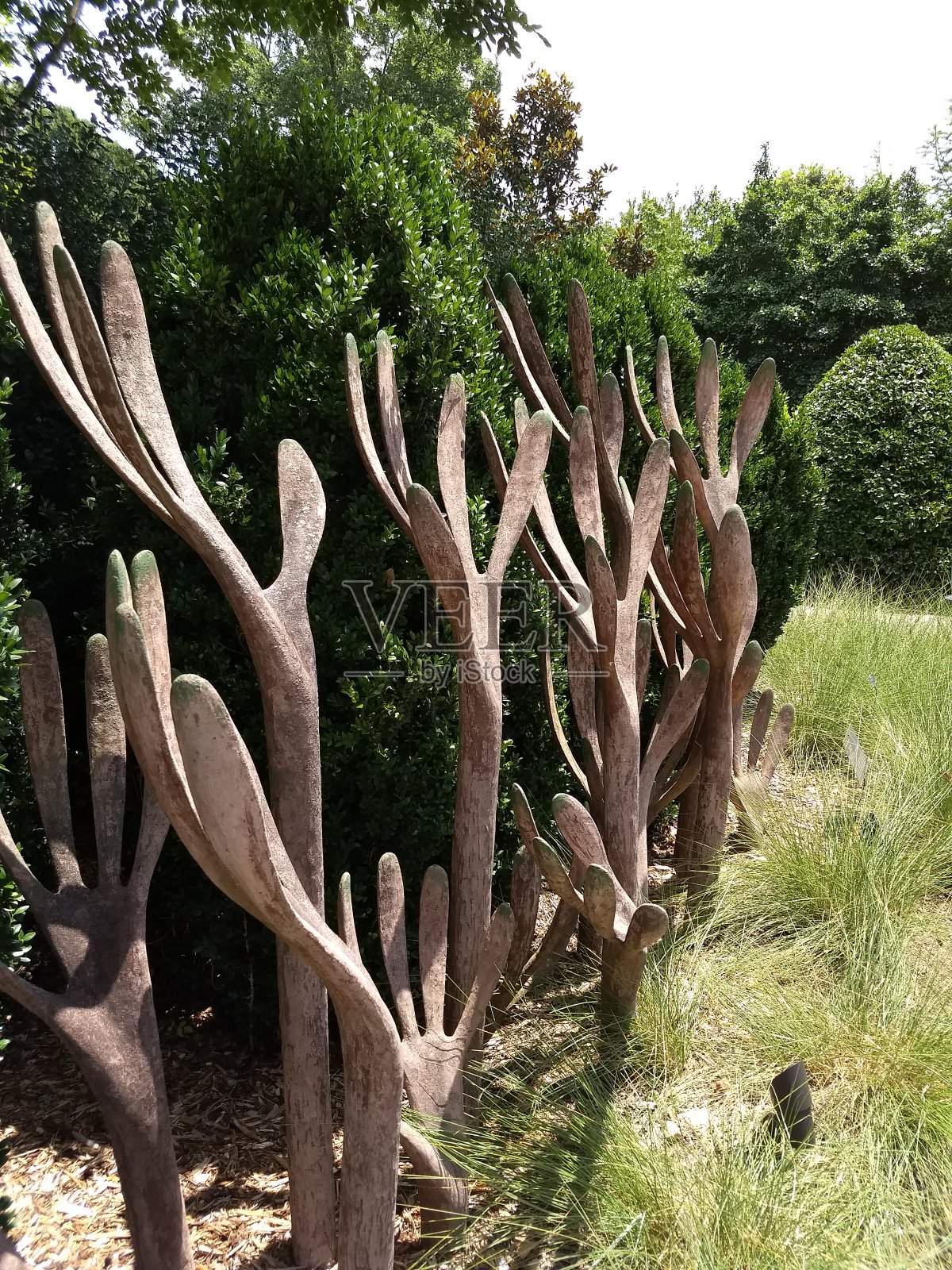 令人欣慰的是,自然照片摄影图片