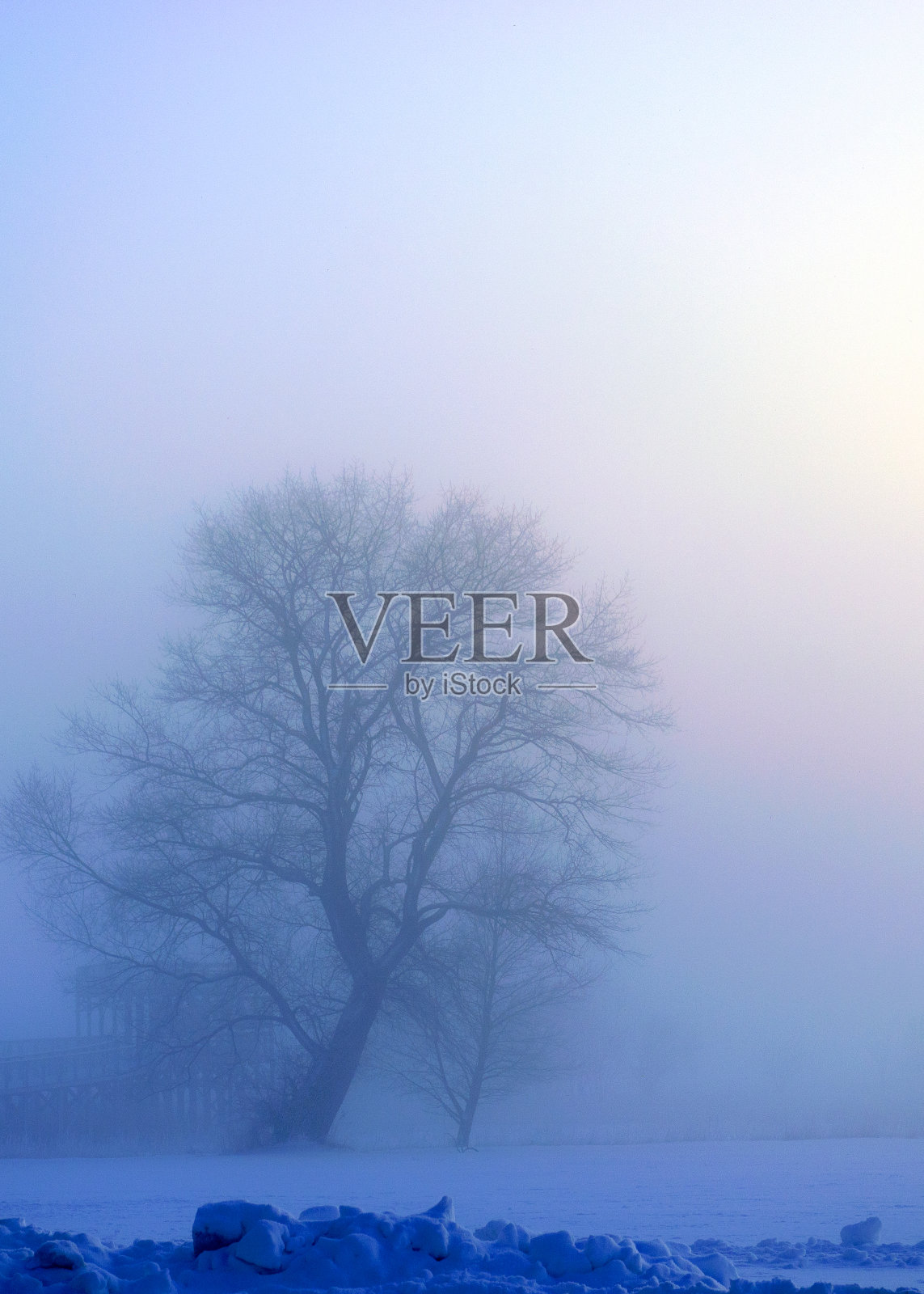 雾景中有一棵孤独的树，在一个寒冷的冬天早晨，白色的雾笼罩着大地，模糊了树的剪影照片摄影图片