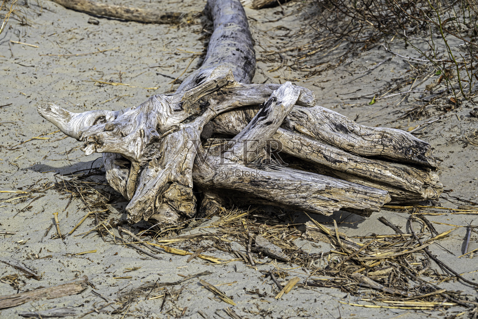 浮木照片摄影图片