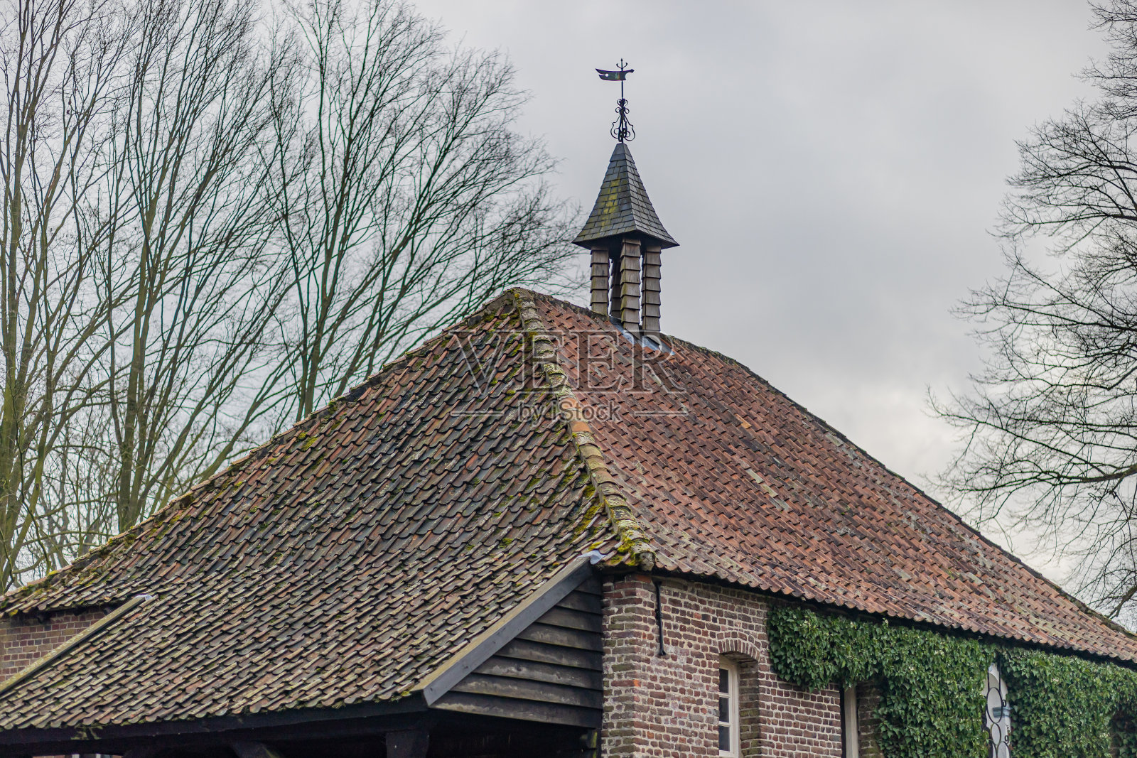 老旧的斜屋顶，带攀缘植物的砖墙，带风向标的小塔照片摄影图片