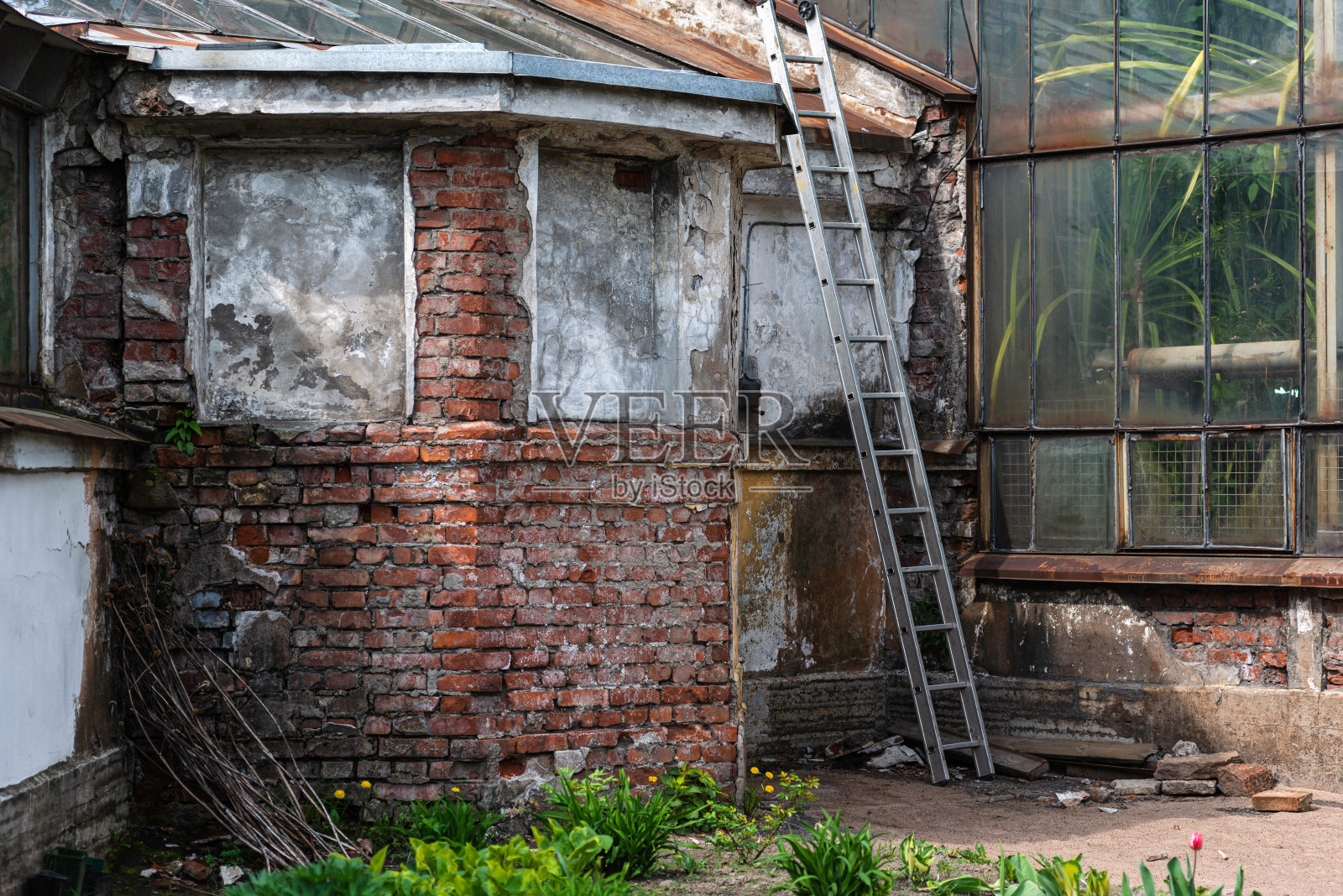 旧植物温室的砖瓦扩建。玻璃幕墙与破坏的砖基座。在被厚厚的一层灰尘覆盖的玻璃后面可以看到许多各种各样的植物。照片摄影图片