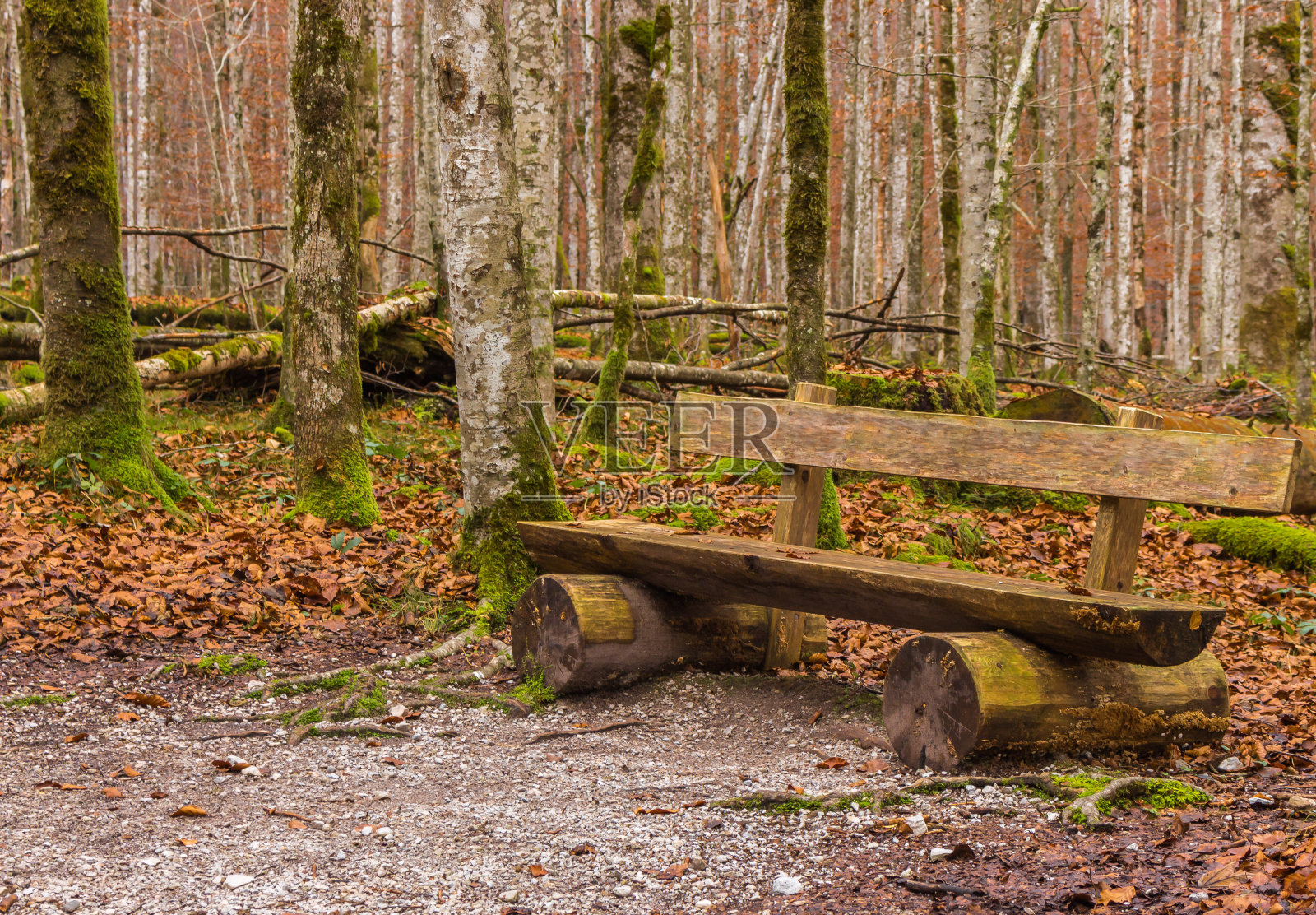 秋天森林里的长椅。树林里空荡荡的木岸，有秋色的树叶和青苔。休息一下的概念。在森林里旅行。农村景观。丰富多彩的秋天的风景。座位放松。照片摄影图片