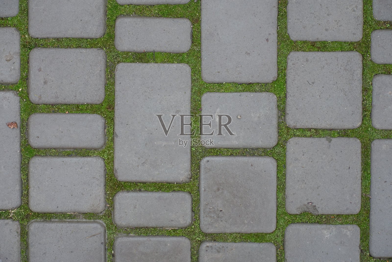 灰色混凝土路面接缝处的青苔照片摄影图片