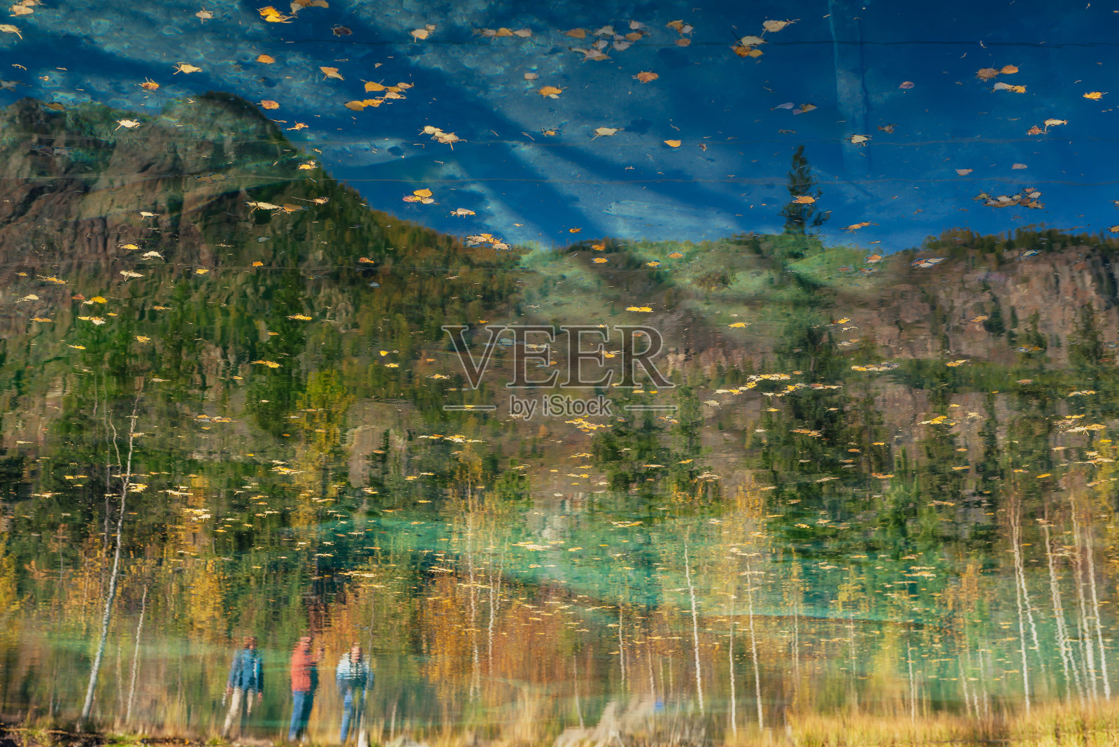 黄秋叶在清澈的湖面上照片摄影图片