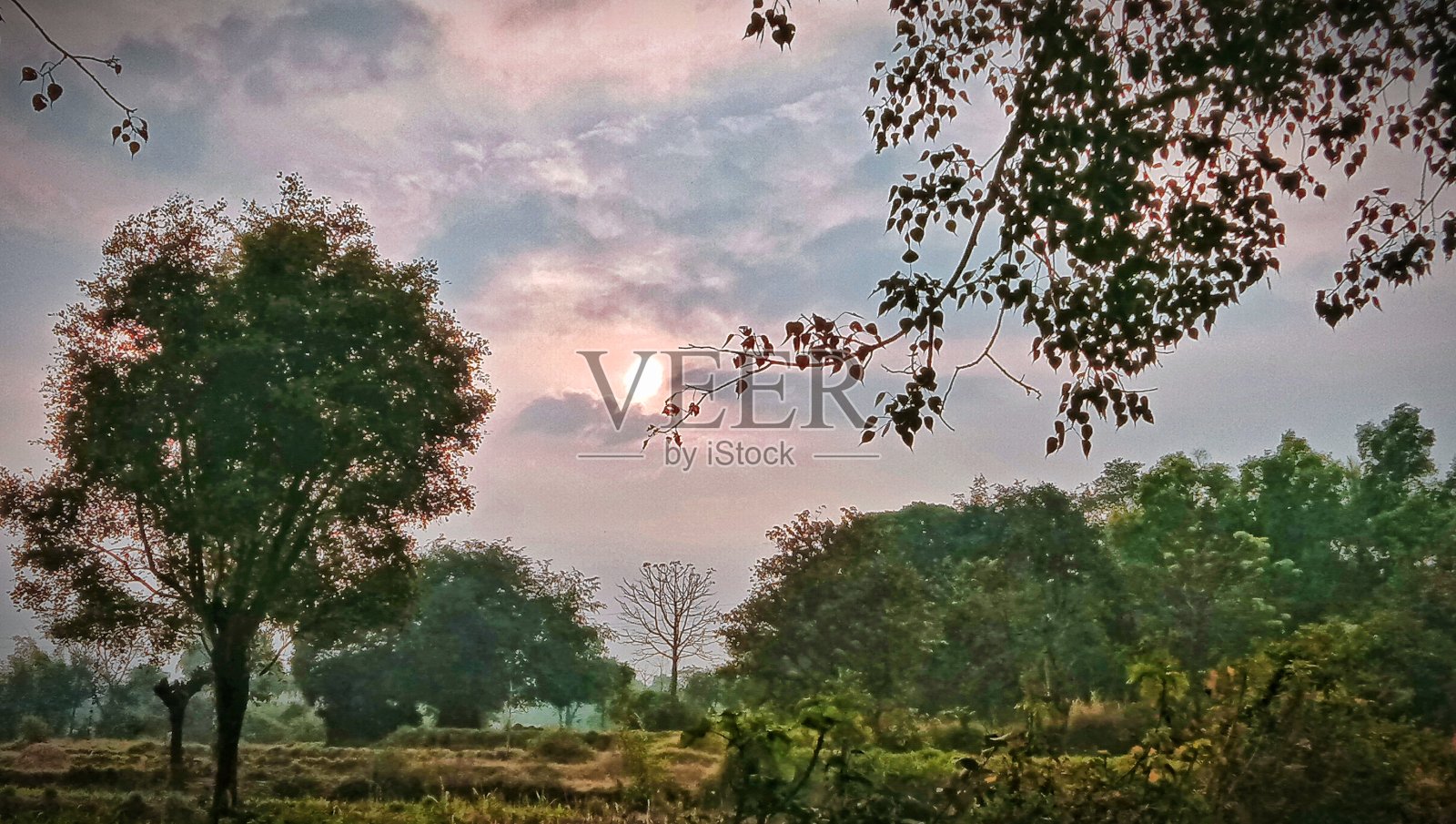 村里的性质照片摄影图片