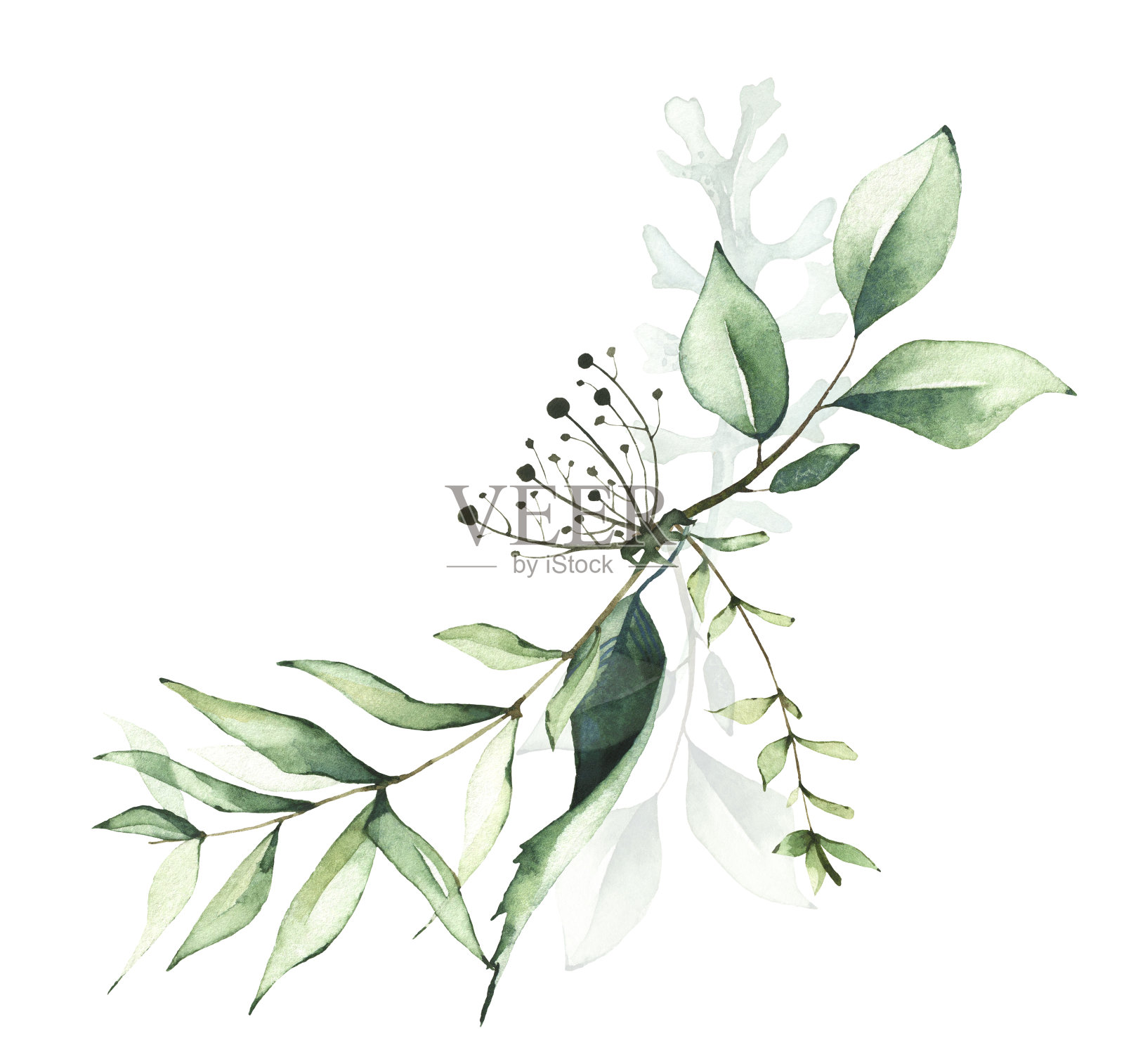 精致的草木布置水彩画。花束带枝，绿叶绿叶。插画图片素材