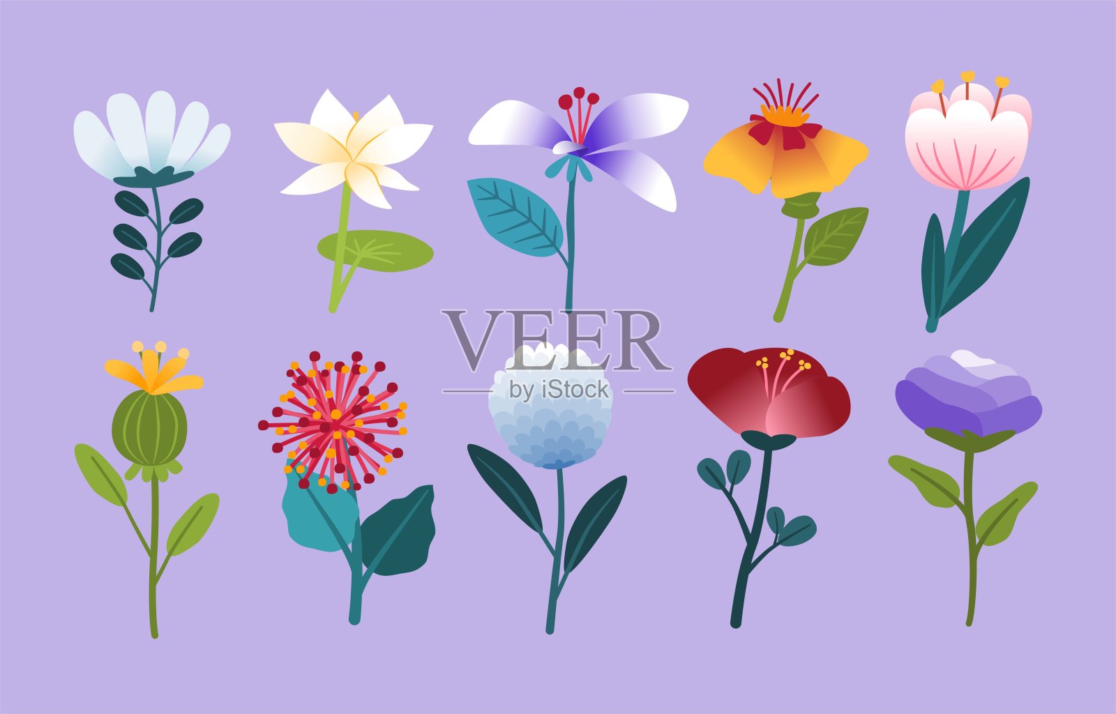 春天的美丽花朵，侧视图，平面设计，涂鸦插画图片素材